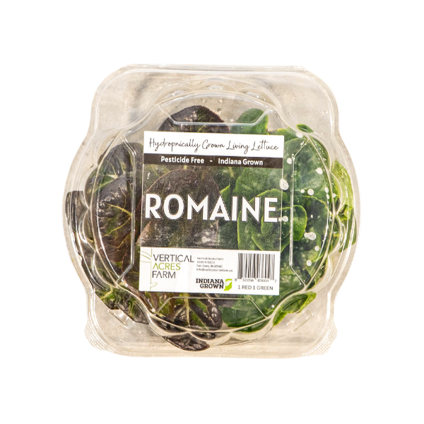 romaine